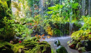 Singapur 'daki Bay Doğa Parkı' nın yanındaki Bahçelerde Bulut Ormanı.