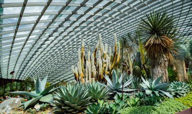 Singapur körfez doğa parkının yanındaki Bahçelerdeki Çiçek Kubbesi 'nin içi.