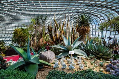 Singapur körfez doğa parkının yanındaki Bahçelerdeki Çiçek Kubbesi 'nin içi.