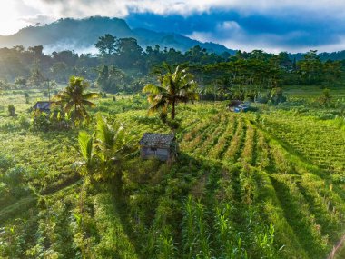 Sidemen 'in tarım arazisi, Karangasem Regency, Bali, Endonezya