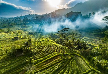 Sidemen 'in tarım arazisi, Karangasem Regency, Bali, Endonezya
