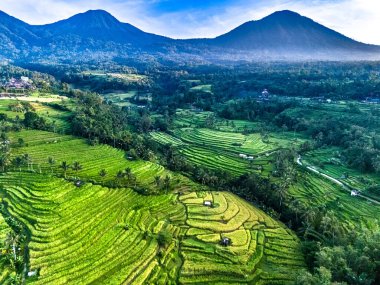 Penebel Bölgesi, Tabanan Regency, Bali, Endonezya 'daki Jatiluwih Rice Terasları manzarası. UNESCO 'nun dünya kültür mirası sahası