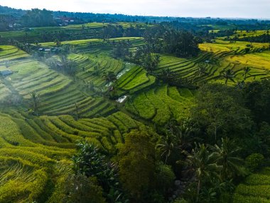 Penebel Bölgesi, Tabanan Regency, Bali, Endonezya 'daki Jatiluwih Rice Terasları manzarası. UNESCO 'nun dünya kültür mirası sahası