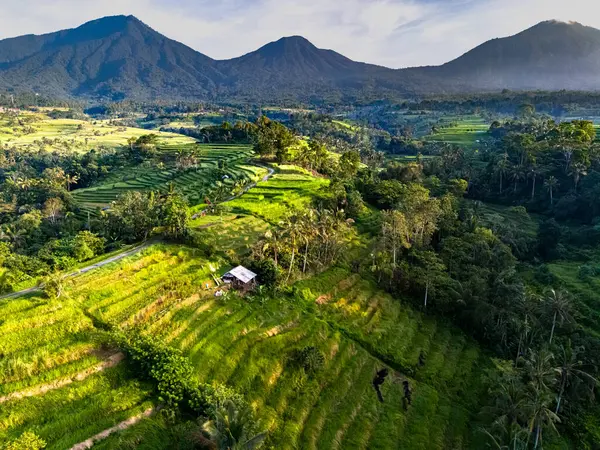 stock image Landscape view of Jatiluwih Rice Terraces in Penebel District, Tabanan Regency, Bali, Indonesia. UNESCO's world's cultural heritage site