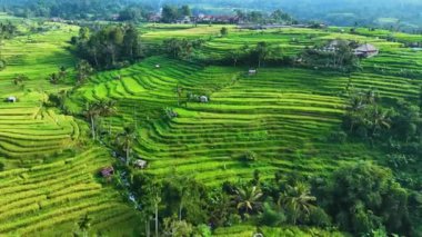 Penebel Bölgesi, Tabanan Regency, Bali, Endonezya 'daki Jatiluwih Rice Terasları manzarası. UNESCO 'nun dünya kültür mirası sahası