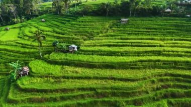 Penebel Bölgesi, Tabanan Regency, Bali, Endonezya 'daki Jatiluwih Rice Terasları manzarası. UNESCO 'nun dünya kültür mirası sahası