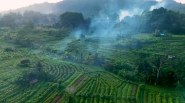 Sidemen 'in tarım arazisi, Karangasem Regency, Bali, Endonezya