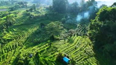 Sidemen 'in tarım arazisi, Karangasem Regency, Bali, Endonezya