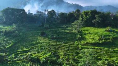 Sidemen 'in tarım arazisi, Karangasem Regency, Bali, Endonezya