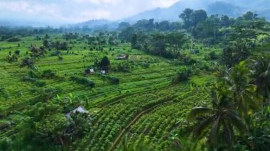 Sidemen 'in tarım arazisi, Karangasem Regency, Bali, Endonezya