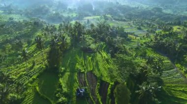 Sidemen 'in tarım arazisi, Karangasem Regency, Bali, Endonezya