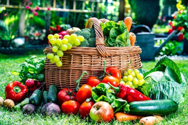 Bahçede sebze ve meyve dolu bir sepet. Dengeli diyet