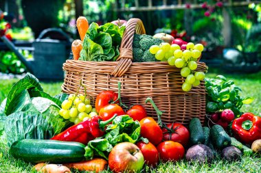 Bahçede sebze ve meyve dolu bir sepet. Dengeli diyet