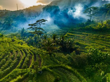 Agricultural landscape of Sidemen, in Karangasem Regency, Bali, Indonesia clipart