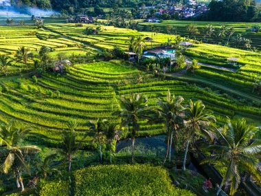 Penebel Bölgesi, Tabanan Regency, Bali, Endonezya 'daki Jatiluwih Rice Terasları manzarası. UNESCO 'nun dünya kültür mirası sahası