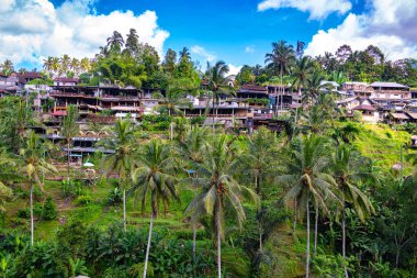 Gianyar Regency, Bali, Endonezya 'da Tegallalang pirinç terası