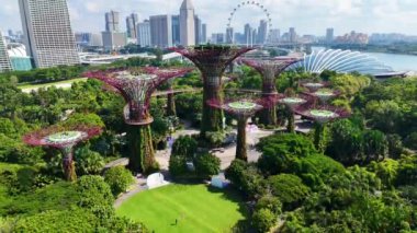 SINGAPORE - 12 Mayıs 2024: Körfez kenarındaki bahçeler, Singapur 'un merkez bölgesindeki doğa parkı, Marina Reservoir' in bitişiğindeki