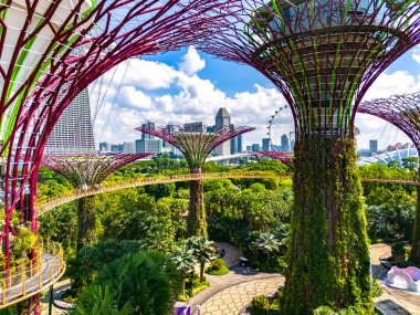 SINGAPORE - 10 Mayıs 2024: Körfez kenarındaki bahçeler, Singapur 'un merkez bölgesindeki doğa parkı, Marina Reservoir' in bitişiğindeki