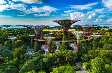 SINGAPORE - 12 Mayıs 2024: Körfez kenarındaki bahçeler, Singapur 'un merkez bölgesindeki doğa parkı, Marina Reservoir' in bitişiğindeki
