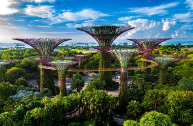 SINGAPORE - 12 Mayıs 2024: Körfez kenarındaki bahçeler, Singapur 'un merkez bölgesindeki doğa parkı, Marina Reservoir' in bitişiğindeki