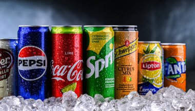 POZNAN, POL - 31, 2024: Popüler küresel meşrubat markalarının ürünleri