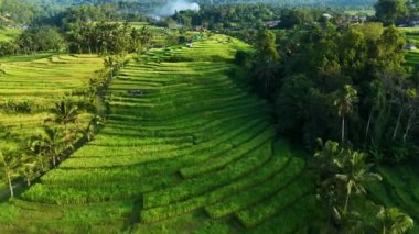 Penebel Bölgesi, Tabanan Regency, Bali, Endonezya 'daki Jatiluwih Rice Terasları manzarası. UNESCO 'nun dünya kültür mirası sahası