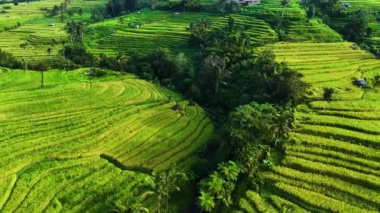 Penebel Bölgesi, Tabanan Regency, Bali, Endonezya 'daki Jatiluwih Rice Terasları manzarası. UNESCO 'nun dünya kültür mirası sahası