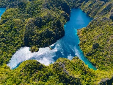 Filipinler 'in Palawan ilindeki Coron Adası' ndaki Kayangan Gölü.