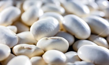 Böbrek fasülyelerine yakın çekim.