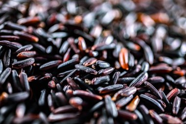 Siyah pirinç ya da mor pirinç yakın çekim