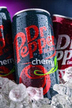 POZNAN, POL - 01 NİSAN 2025: Karbonatlı meşrubat konserveleri