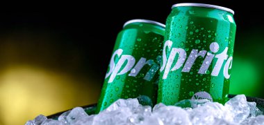 POZNAN, POL - 02 APR 2025: The Coca Cola Company tarafından dağıtılan karbonatlı bir meşrubat.