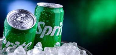 POZNAN, POL - 02 APR 2025: The Coca Cola Company tarafından dağıtılan karbonatlı bir meşrubat.