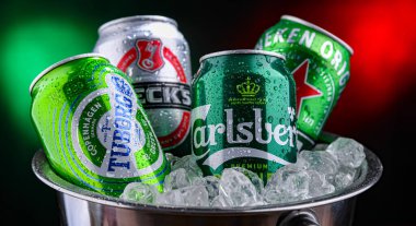 POZNAN, POL - 04 Nisan 2025: Popüler küresel bira markalarının kutuları: Carlsberg, Heineken, Becks ve Tuborg