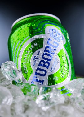 POZNAN, POL - 04 Nisan 2025: Kovada buzlu Tuborg birası