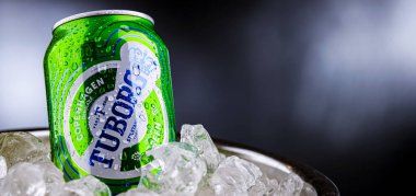 POZNAN, POL - 04 Nisan 2025: Kovada buzlu Tuborg birası