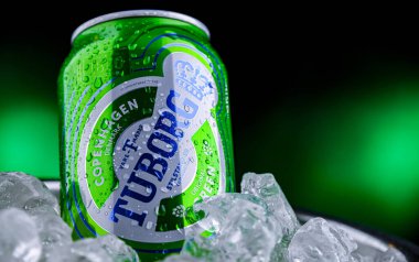 POZNAN, POL - 04 Nisan 2025: Kovada buzlu Tuborg birası