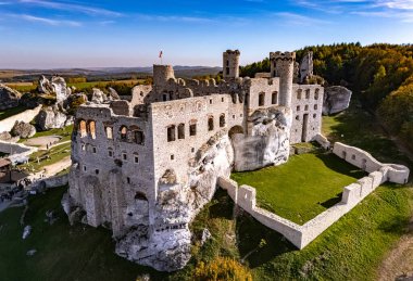 Polonya 'nın Podzamcze kentindeki Ogrodzieniec Kalesi.