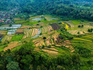 Sidemen 'in tarım arazisi, Karangasem Regency, Bali, Endonezya