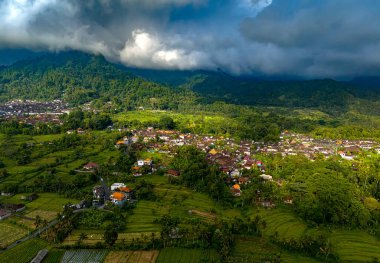 Sidemen 'in tarım arazisi, Karangasem Regency, Bali, Endonezya