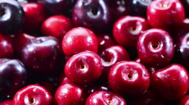 Taze kirazlı kompozisyon.