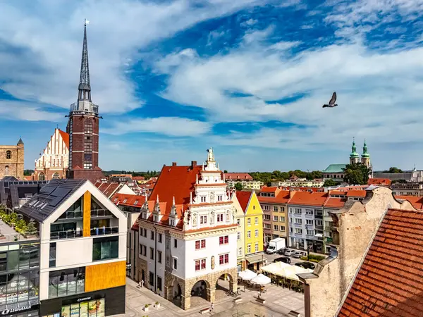 Polonya 'nın Opole Voyvoda Nysa şehrinin manzarası