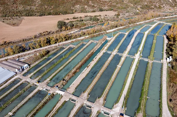 Hodowla Ryb Krystalicznie Czystych Zimnych Wolnych Zanieczyszczeń Wodach Rzeki Aragon — Zdjęcie stockowe