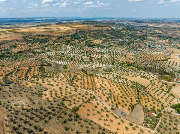 Letecký Panoramatický Výhled Olivová Pole Chinchonu Provincie Madrid Katalogizováno Jako — Stock fotografie