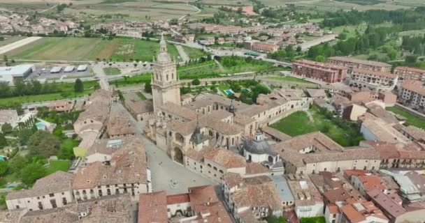 ソリアのバーゴ オズマ県 スペインの仮定大聖堂の空中眺望 — ストック動画