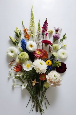 Çiçekler bembeyaz arka planda düzleşir