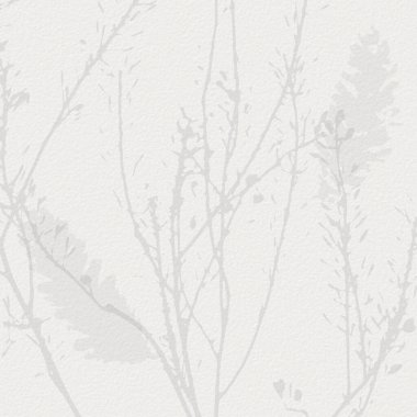 Narin, suluboya, botanik dijital kağıt, çiçek arkaplanı, yumuşak, basit, çıplak bej renkler. Beyaz organik kağıt dokusunda nötr zarif desen