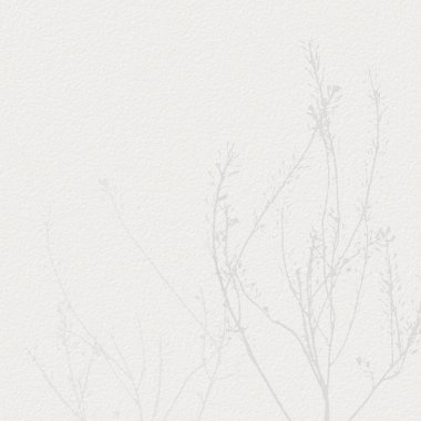 Narin, suluboya, botanik dijital kağıt, çiçek arkaplanı, yumuşak, basit, çıplak bej renkler. Beyaz organik kağıt dokusunda nötr zarif desen