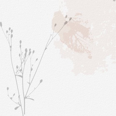 Narin, suluboya, botanik dijital kağıt, çiçek arkaplanı, yumuşak, basit, çıplak bej renkler. Beyaz organik kağıt dokusunda nötr zarif desen