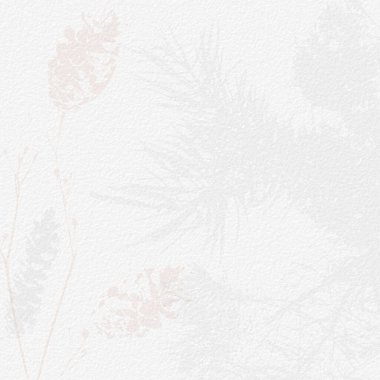 Narin, suluboya, botanik dijital kağıt, çiçek arkaplanı, yumuşak, basit, çıplak bej renkler. Beyaz organik kağıt dokusunda nötr zarif desen